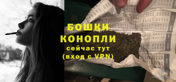 дурь Арсеньев