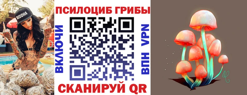 Галлюциногенные грибы Magic Shrooms  Купить закладки  Фролово 